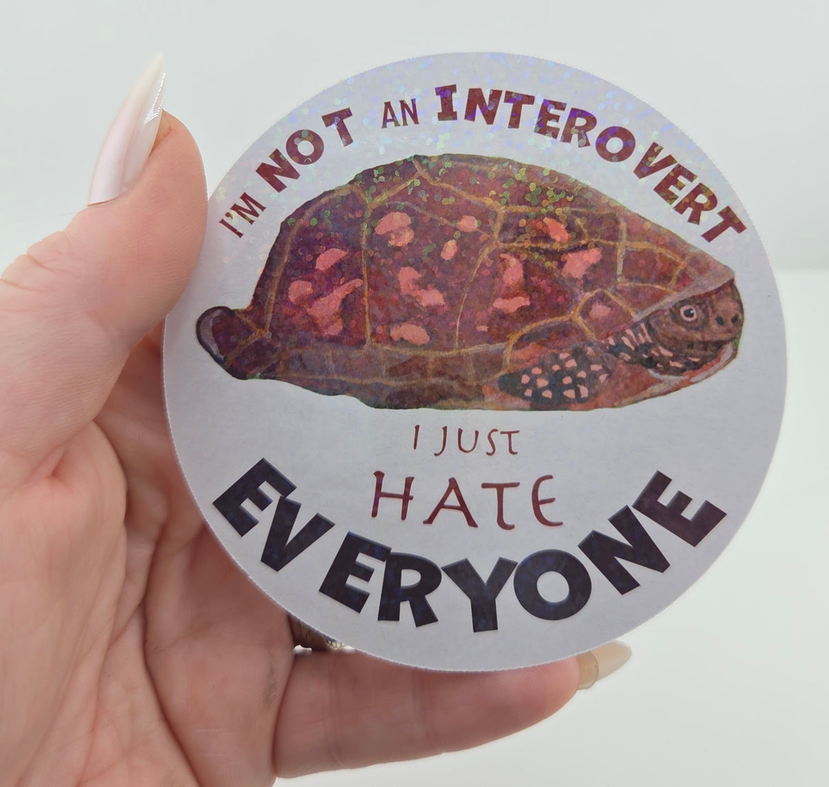 Turtle “I’m Not an Introvert, I Just Hate Everyone” Sticker