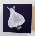 Garlic Bulb Original Gouache Painting 4x4 Collection