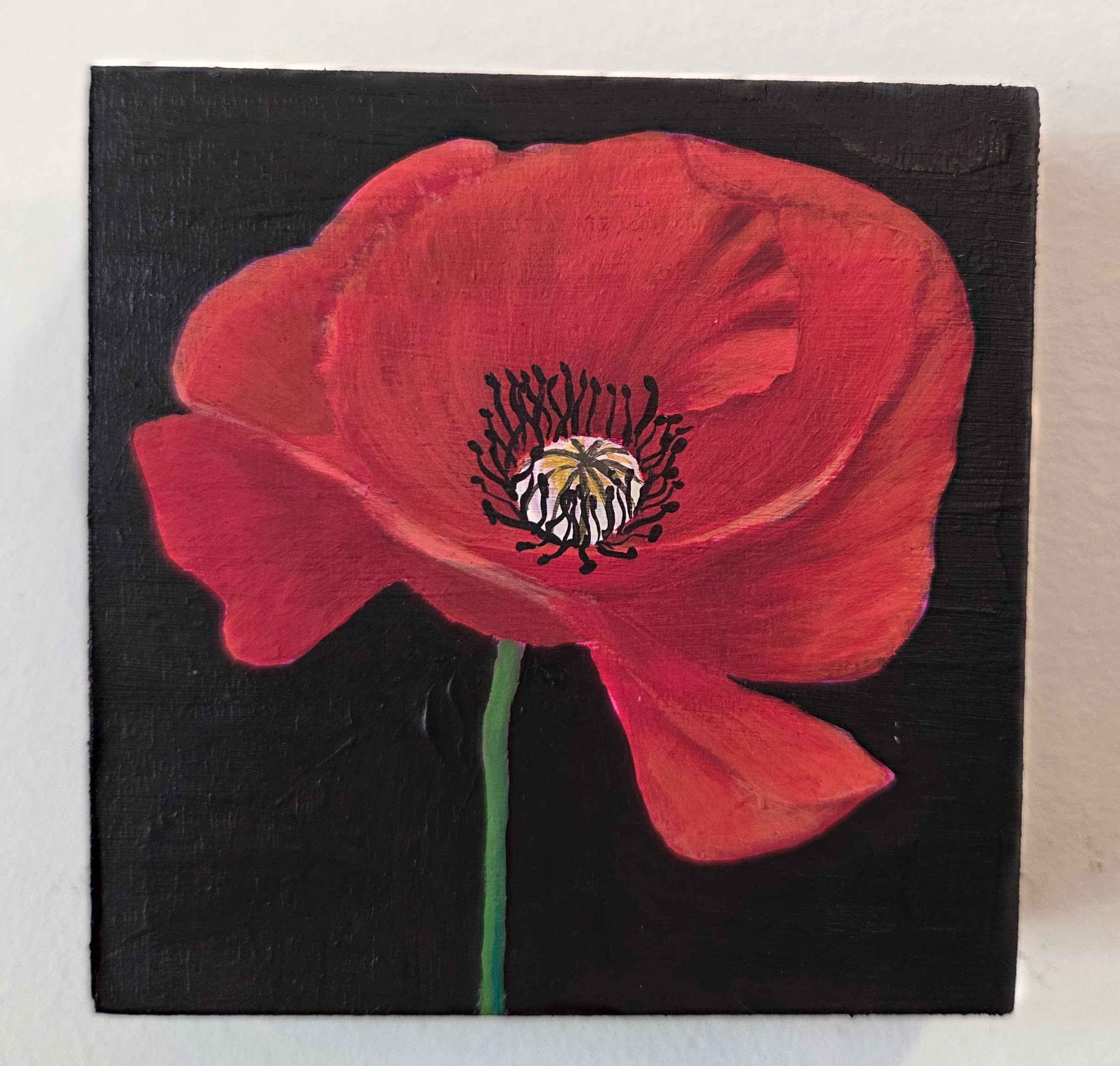 Red Poppy Original Gouache Painting 4x4 Collection