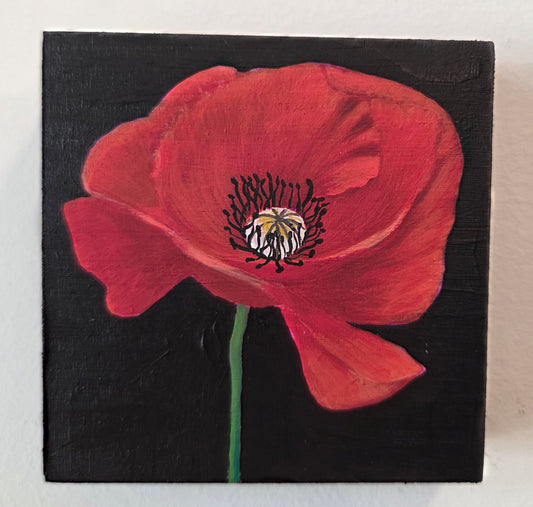 Red Poppy Original Gouache Painting 4x4 Collection