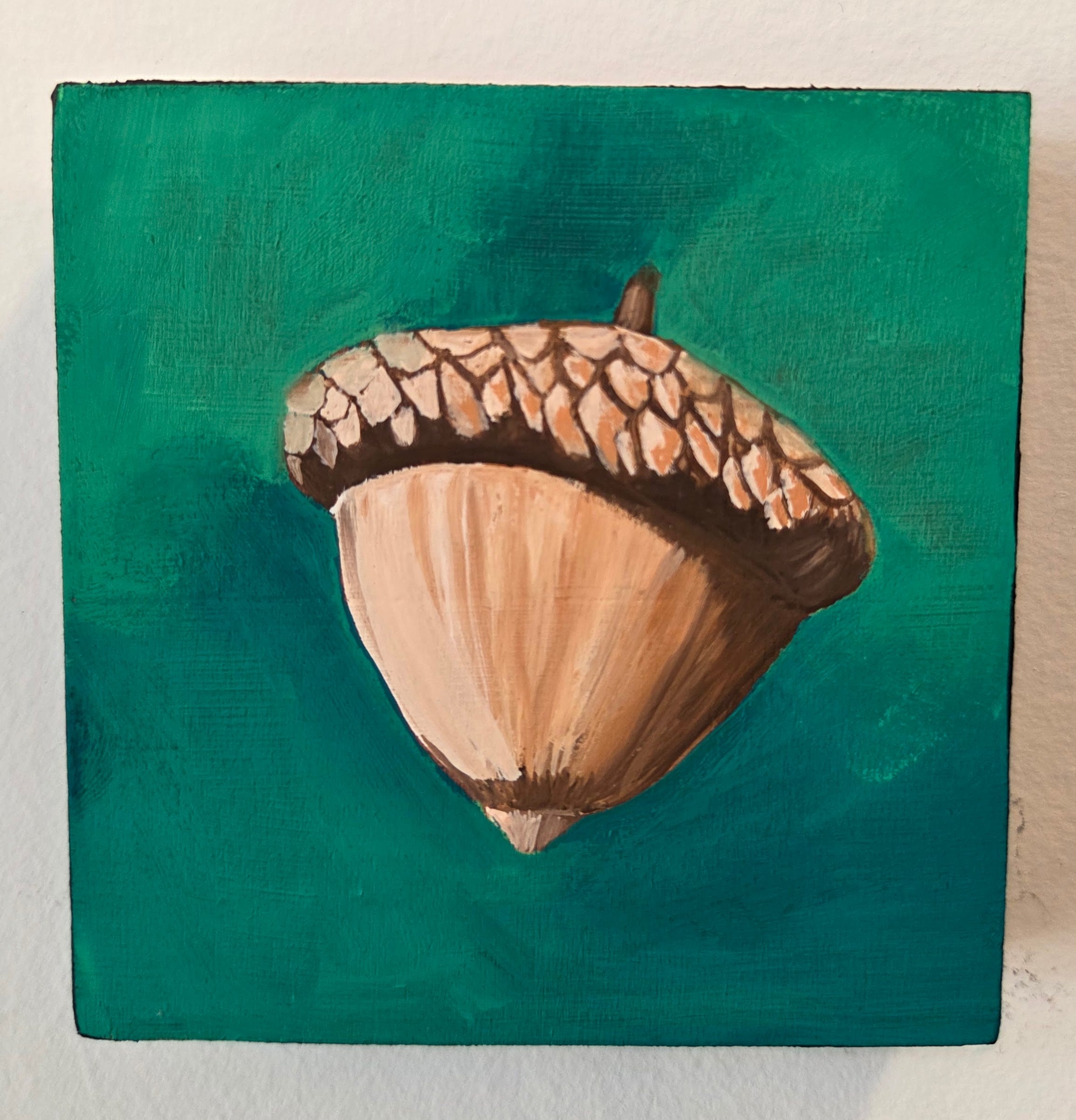 Acorn Original Gouache Painting 4x4 Collection