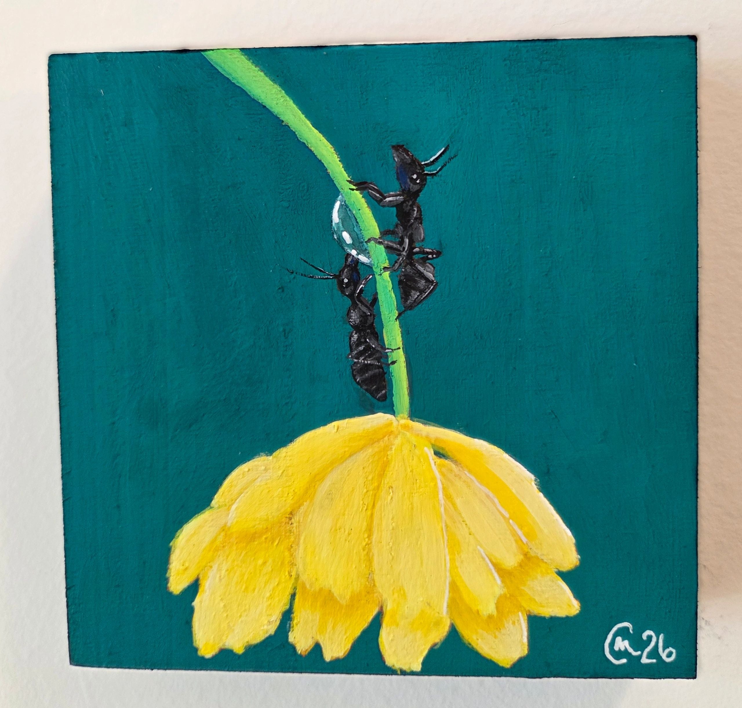 Two Ants and a Flower Original Gouache Painting 4x4 Collection