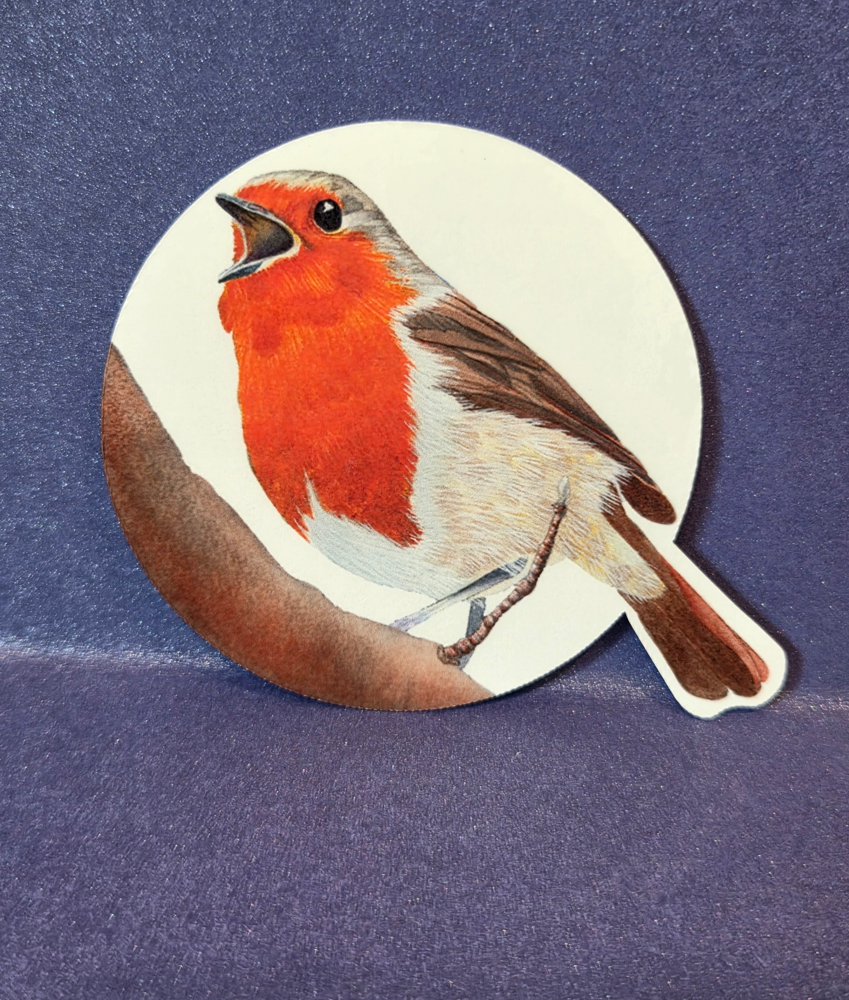 Robin Bird Vinyl Sticker