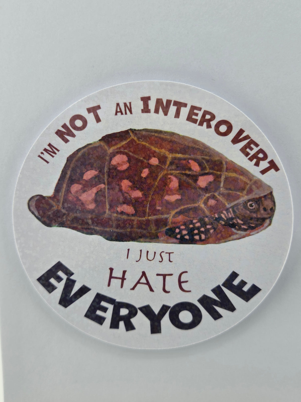 Turtle “I’m Not an Introvert, I Just Hate Everyone”  Sticker