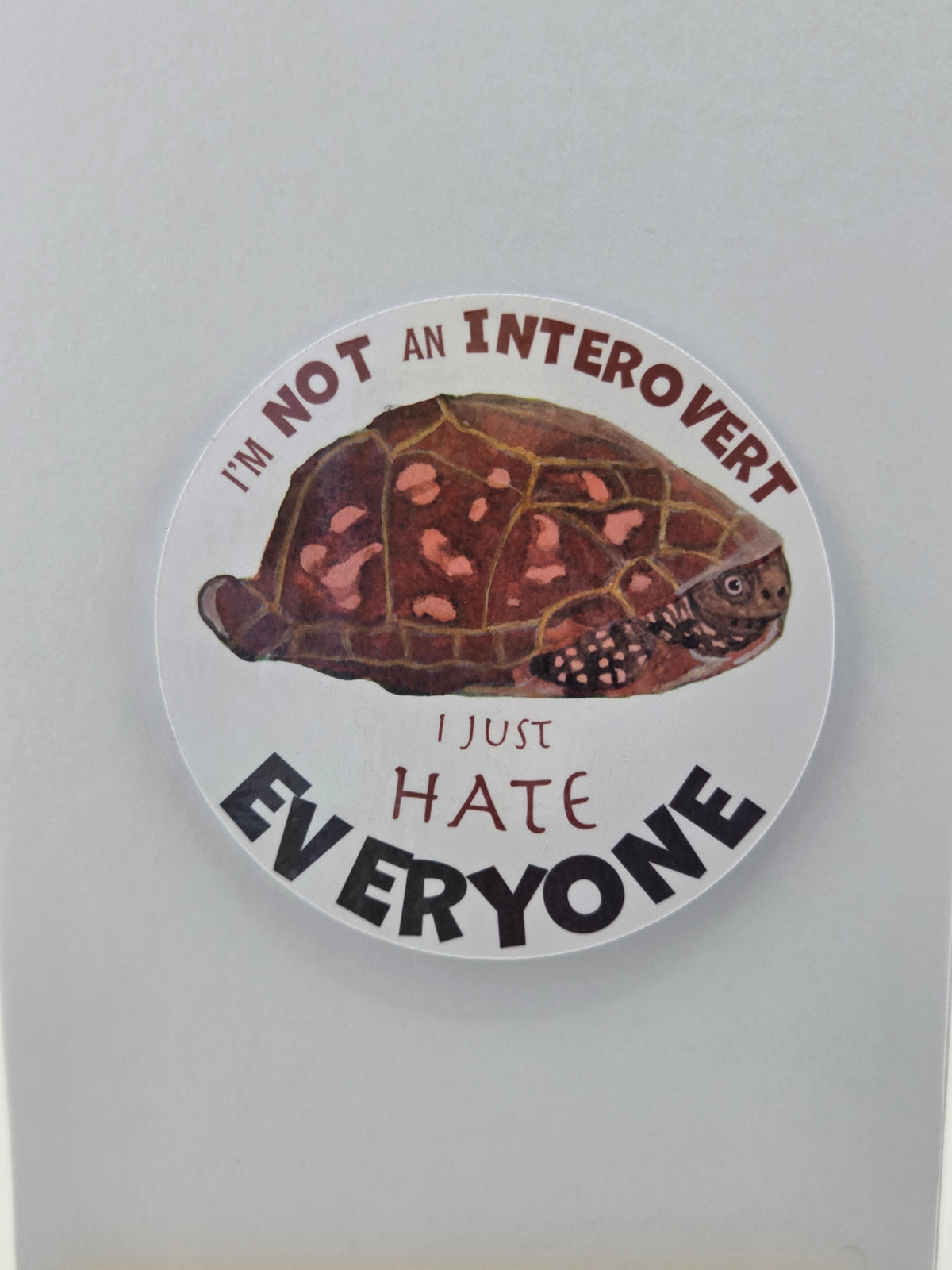 Turtle “I’m Not an Introvert, I Just Hate Everyone”  Sticker