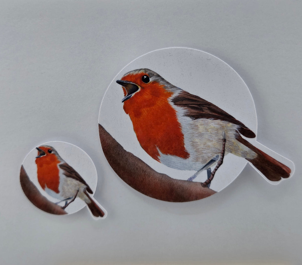 Robin Bird Vinyl Sticker