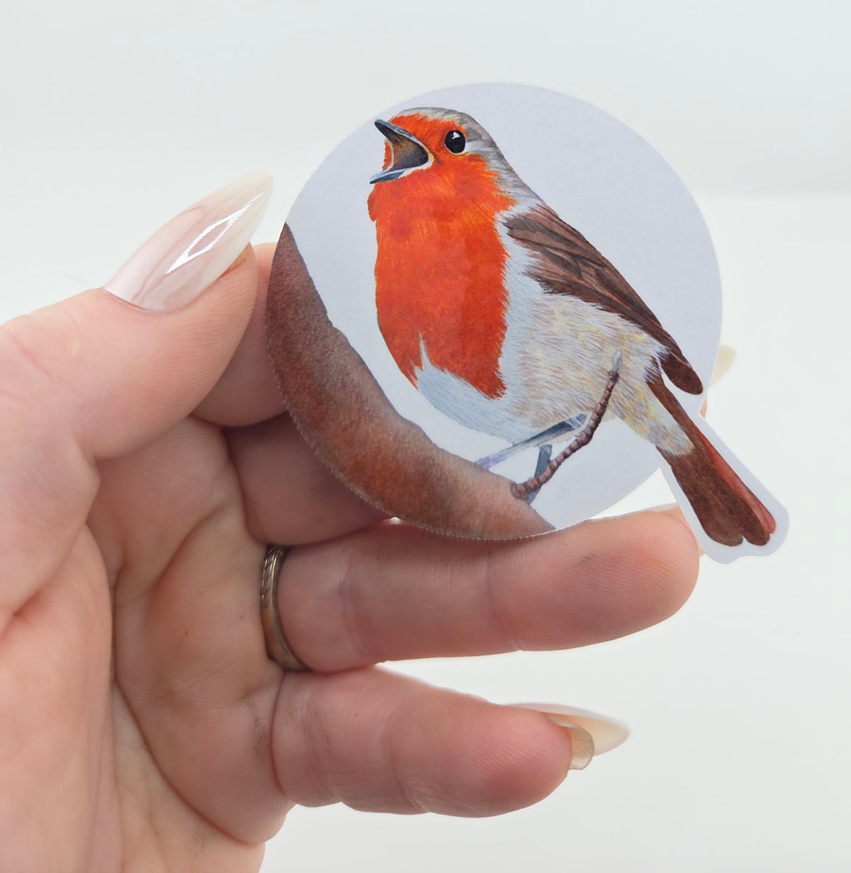 Robin Bird Vinyl Sticker