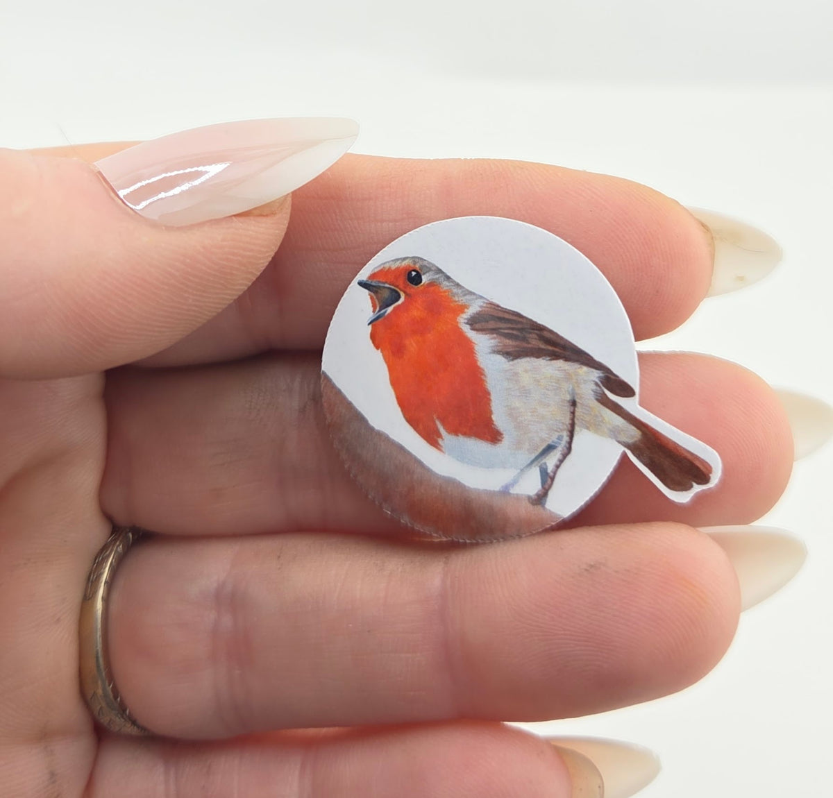 Robin Bird Vinyl Sticker