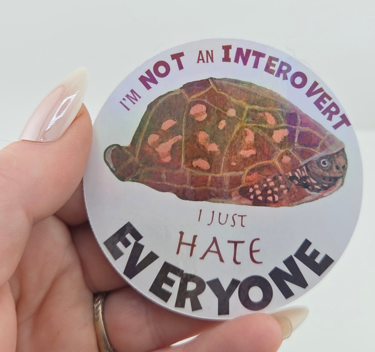 Turtle “I’m Not an Introvert, I Just Hate Everyone”  Sticker