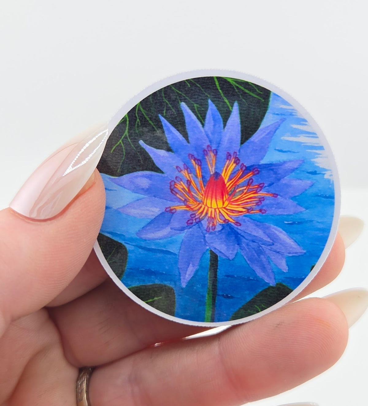 Water Lily Vinyl Sticker