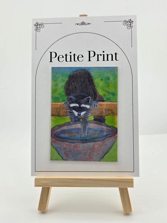 Sneaky Raccoon  Watercolor Painting Print ACEO