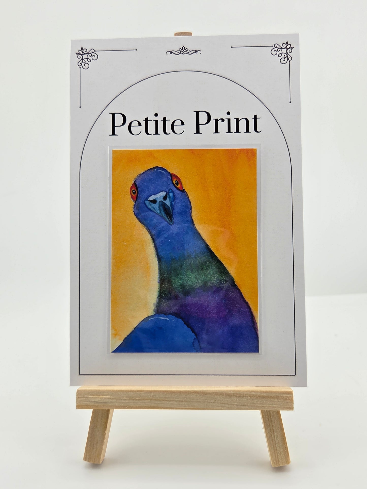 Colorful Pigeon Watercolor Painting Print ACEO