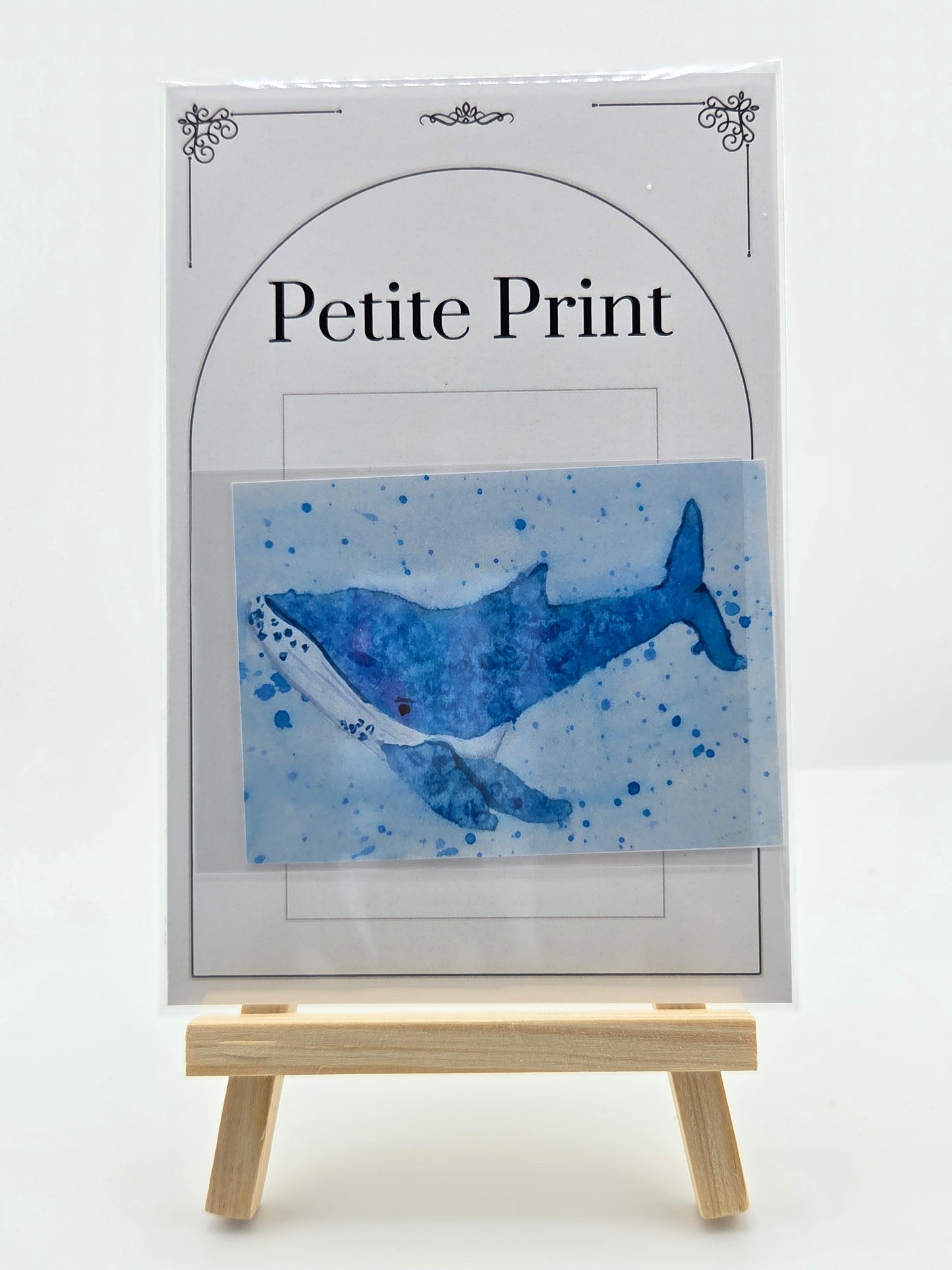 Happy Whale  Watercolor Painting Print ACEO
