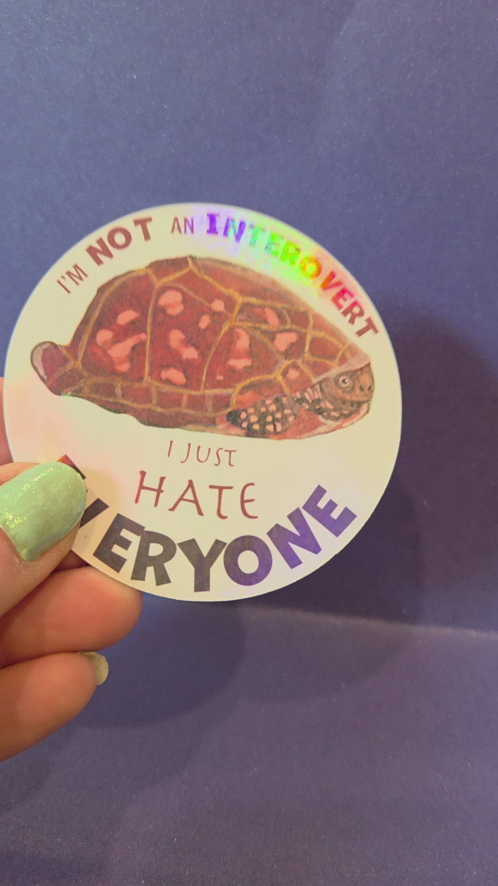 Turtle “I’m Not an Introvert, I Just Hate Everyone”  Sticker