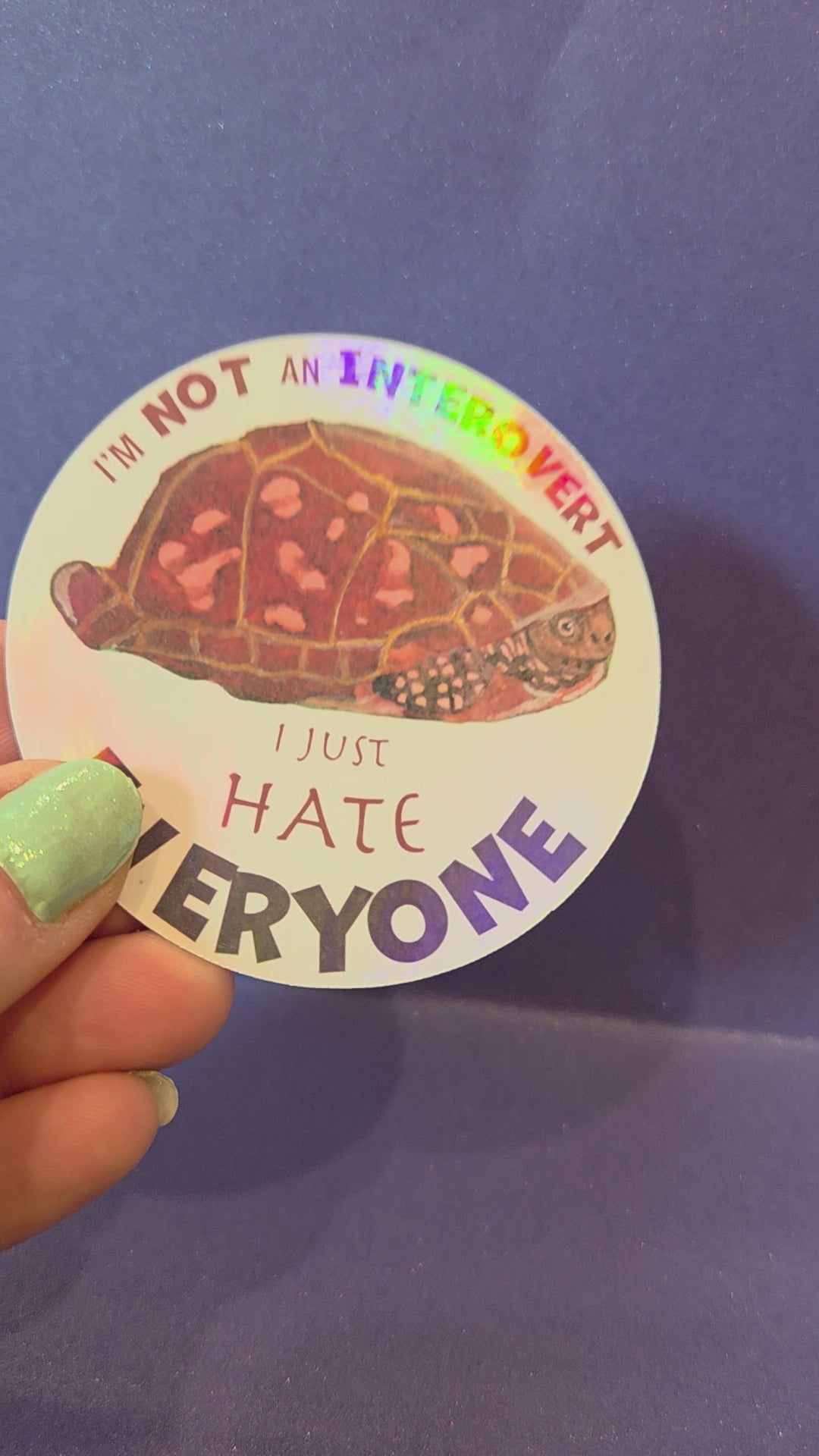 Turtle “I’m Not an Introvert, I Just Hate Everyone”  Sticker